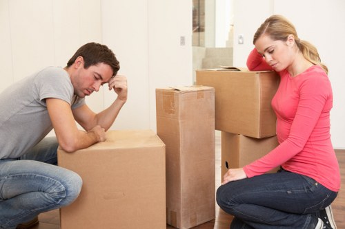 Professional man and van transport in Haringey