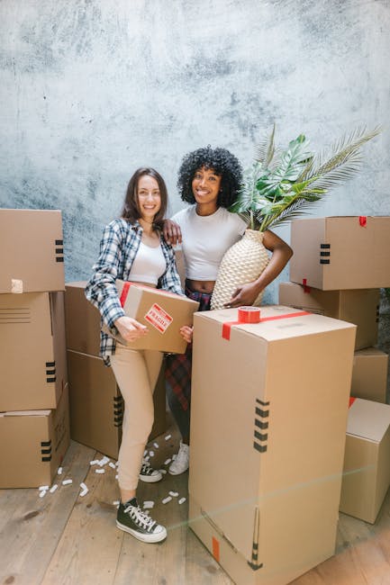 Two women are smiling and standing inside a property surrounded by packed cardboard boxes, some sealed with red tape, and a large potted plant with broad green leaves. One woman holds a small box, while the other carries a larger box and has her arm around her companion. They are positioned near a wall with a textured, light grey surface. The scene is well-lit, indicating indoor lighting suitable for a home relocation or moving process. Equipment such as packing materials and the presence of multiple boxes suggest they are in the midst of packing or unpacking during a house move. This setup is typical in a professional furniture transport or house removal scenario, with boxes arranged for easy loading or unloading, consistent with services provided by Man and Van Haringey. The environment emphasizes preparation for moving, with objects organized for efficient transport, supporting quick and smooth home relocations.